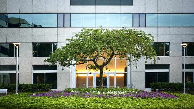 iStock000009541378Medium